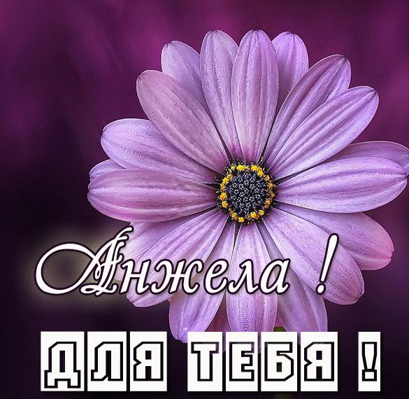 Скачать бесплатно Красивая открытка для тебя Анжела на сайте WishesCards.ru