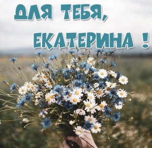 Скачать бесплатно Красивая открытка для тебя Екатерина на сайте WishesCards.ru