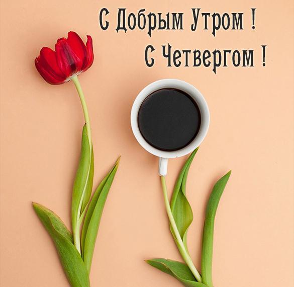 Скачать бесплатно Красивая открытка доброе утро с четвергом на сайте WishesCards.ru