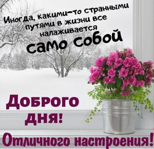 Скачать бесплатно Красивая открытка доброго дня и отличного настроения на сайте WishesCards.ru