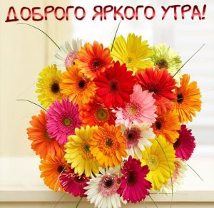 Скачать бесплатно Красивая открытка доброго яркого утра на сайте WishesCards.ru