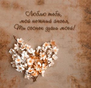 Скачать бесплатно Красивая открытка любимой девушке на сайте WishesCards.ru