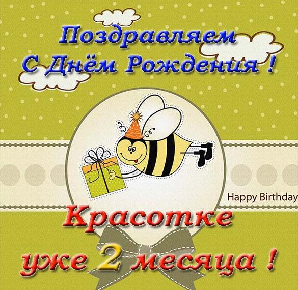 Скачать бесплатно Красивая открытка на 2 месяца девочке на сайте WishesCards.ru