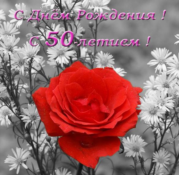 Скачать бесплатно Красивая открытка на 50 лет на сайте WishesCards.ru