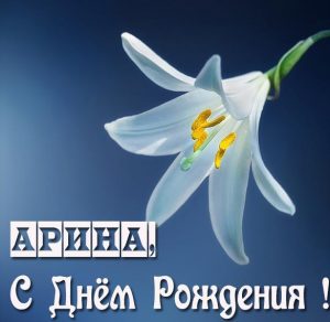 Скачать бесплатно Красивая открытка на день рождения Арине на сайте WishesCards.ru