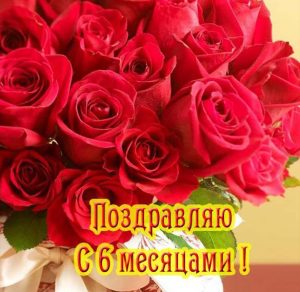 Скачать бесплатно Красивая открытка на полгода девочке на сайте WishesCards.ru