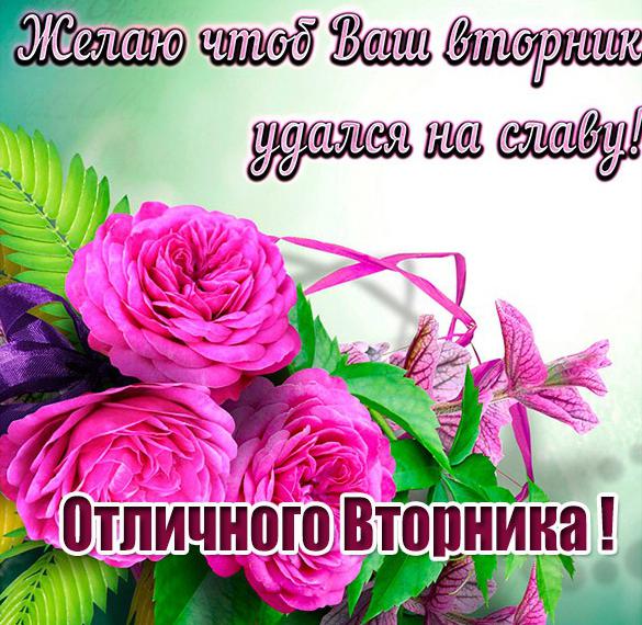 Скачать бесплатно Красивая открытка отличного вторника на сайте WishesCards.ru