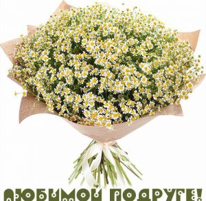 Скачать бесплатно Красивая открытка подруге от друга на сайте WishesCards.ru