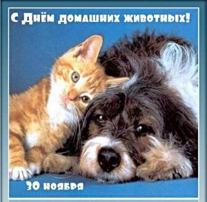 Скачать бесплатно Красивая открытка с днем домашних животных на сайте WishesCards.ru