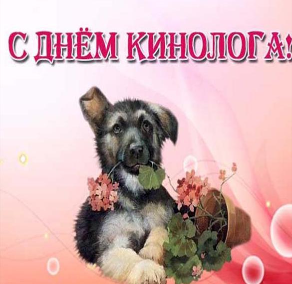 Скачать бесплатно Красивая открытка с днем кинолога на сайте WishesCards.ru