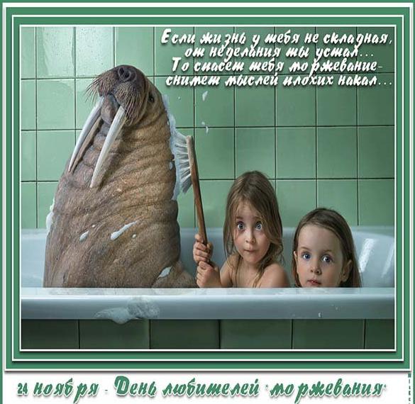 Скачать бесплатно Красивая открытка с днем моржа на сайте WishesCards.ru