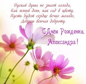 Скачать бесплатно Красивая открытка с днем рождения Александре женщине на сайте WishesCards.ru