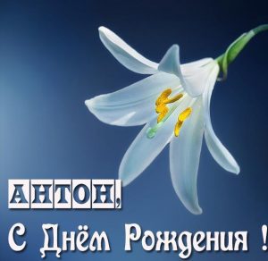 Скачать бесплатно Красивая открытка с днем рождения для Антона на сайте WishesCards.ru