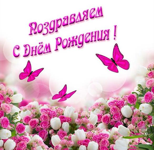 Скачать бесплатно Красивая открытка с днем рождения для девушек на сайте WishesCards.ru