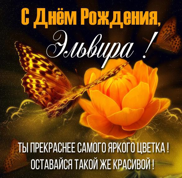 Скачать бесплатно Красивая открытка с днем рождения для Эльвиры на сайте WishesCards.ru