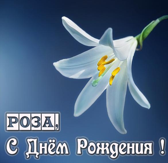 Скачать бесплатно Красивая открытка с днем рождения для Розы на сайте WishesCards.ru