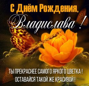Скачать бесплатно Красивая открытка с днем рождения для Владиславы на сайте WishesCards.ru