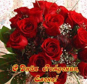 Скачать бесплатно Красивая открытка с днем рождения Елена женщине на сайте WishesCards.ru