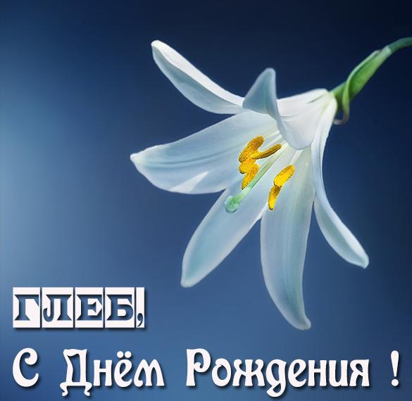 Скачать бесплатно Красивая открытка с днем рождения Глеб на сайте WishesCards.ru