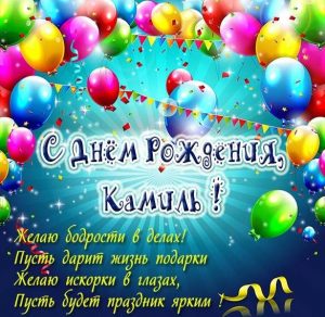 Скачать бесплатно Красивая открытка с днем рождения Камиль на сайте WishesCards.ru