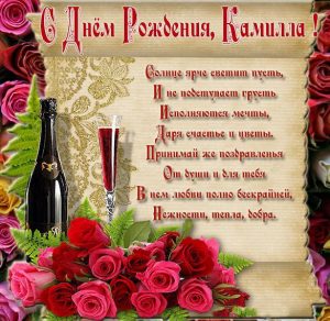 Скачать бесплатно Красивая открытка с днем рождения Камилле на сайте WishesCards.ru
