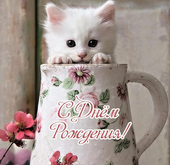 Скачать бесплатно Красивая открытка с днем рождения с кошками на сайте WishesCards.ru