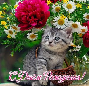 Скачать бесплатно Красивая открытка с днем рождения с котами на сайте WishesCards.ru