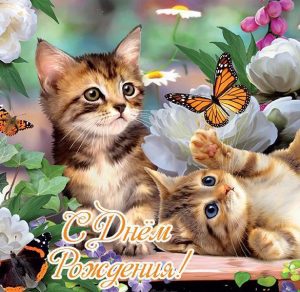 Скачать бесплатно Красивая открытка с днем рождения с котиками на сайте WishesCards.ru