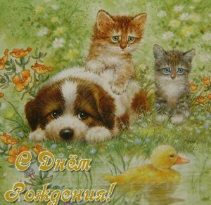 Скачать бесплатно Красивая открытка с днем рождения с животными на сайте WishesCards.ru