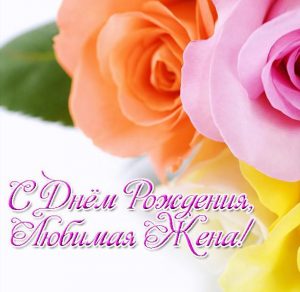 Скачать бесплатно Красивая открытка с днем рождения жене на сайте WishesCards.ru