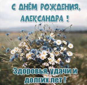Скачать бесплатно Красивая открытка с днем рождения женщине Александре на сайте WishesCards.ru
