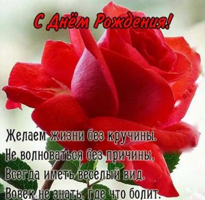 Скачать бесплатно Красивая открытка с днем рождения женщине директору на сайте WishesCards.ru