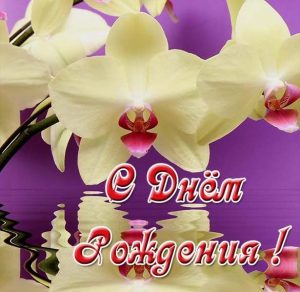 Скачать бесплатно Красивая открытка с днем рождения женщине с орхидеями на сайте WishesCards.ru