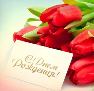 Скачать бесплатно Красивая открытка с днем рождения женщине с тюльпанами на сайте WishesCards.ru