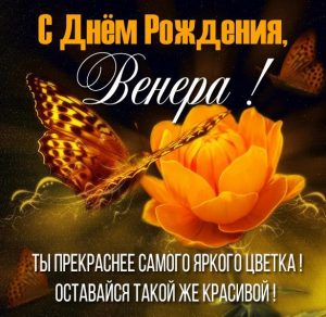 Скачать бесплатно Красивая открытка с днем рождения женщине Венере на сайте WishesCards.ru