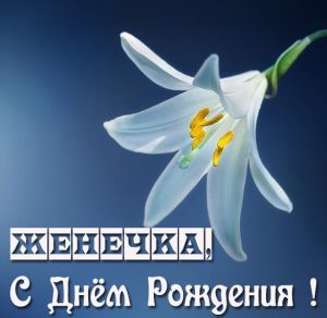Скачать бесплатно Бесплатная красивая открытка с днем рождения женщине Женечке на сайте WishesCards.ru
