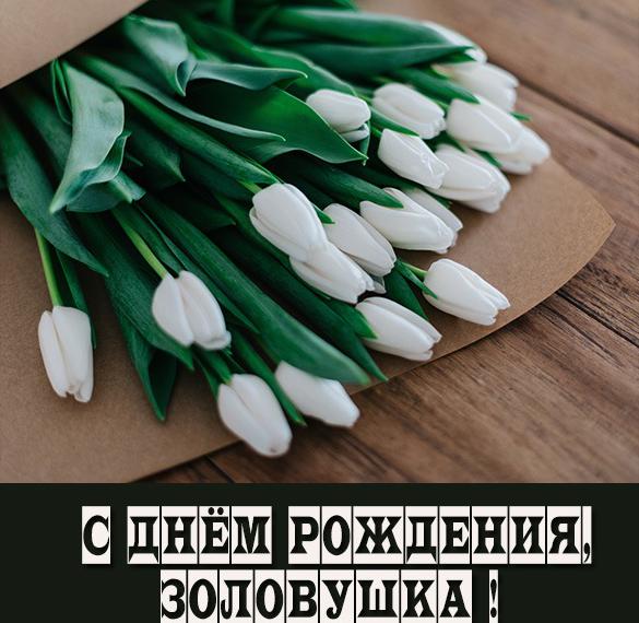Скачать бесплатно Красивая открытка с днем рождения золовке на сайте WishesCards.ru