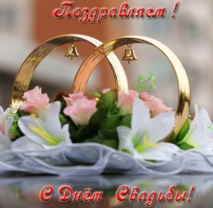 Скачать бесплатно Красивая открытка с днем свадьбы на сайте WishesCards.ru