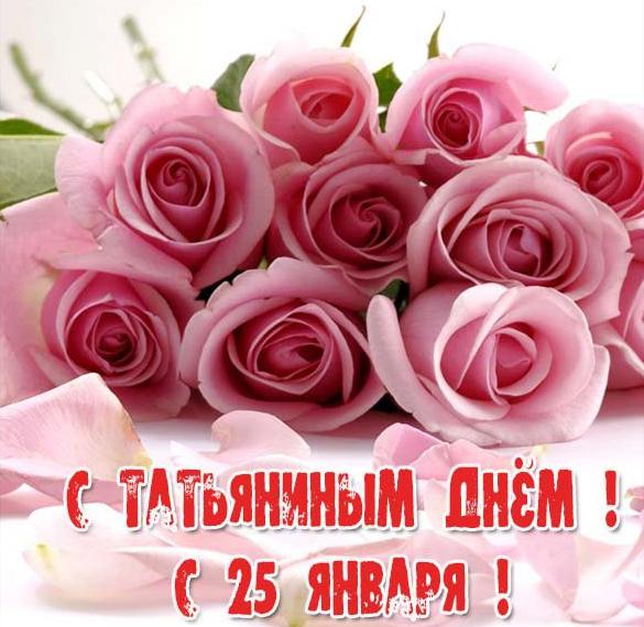 Скачать бесплатно Красивая открытка с днем Татьяны 25 на сайте WishesCards.ru