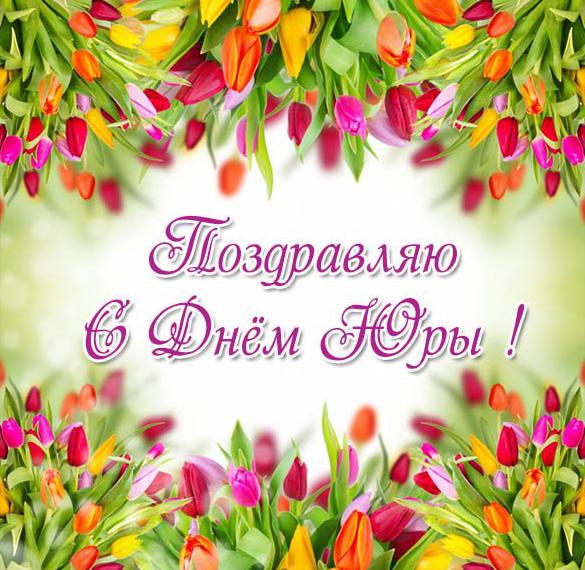 Скачать бесплатно Красивая открытка с днем Юры на сайте WishesCards.ru