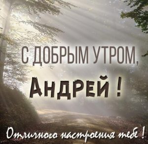 Скачать бесплатно Красивая открытка с добрым утром Андрей на сайте WishesCards.ru
