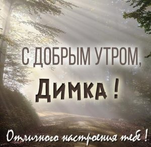 Скачать бесплатно Красивая открытка с добрым утром Димка на сайте WishesCards.ru