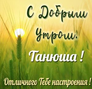 Скачать бесплатно Красивая открытка с добрым утром Танюша на сайте WishesCards.ru