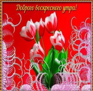 Скачать бесплатно Красивая открытка с добрым воскресным утром на сайте WishesCards.ru