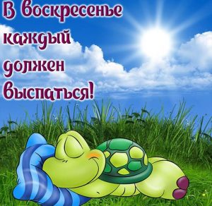 Скачать бесплатно Красивая открытка с пожеланием хорошего воскресенья на сайте WishesCards.ru