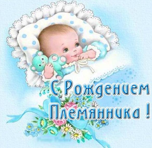 Скачать бесплатно Красивая открытка с рождением племянника на сайте WishesCards.ru