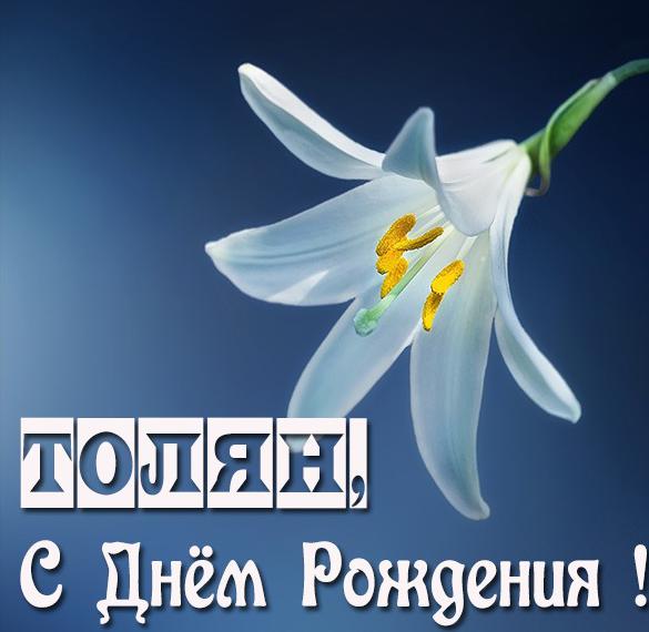 Скачать бесплатно Красивая открытка Толян с днем рождения на сайте WishesCards.ru