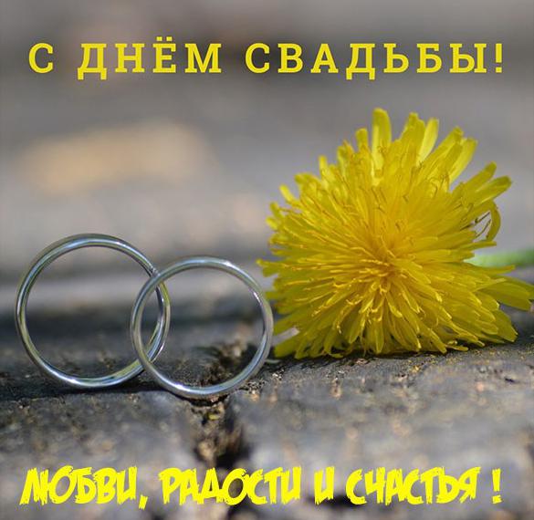 Скачать бесплатно Красивая поздравительная картинка с бракосочетанием на сайте WishesCards.ru
