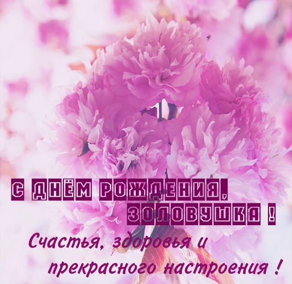 Скачать бесплатно Красивая поздравительная картинка с днем рождения золовке на сайте WishesCards.ru
