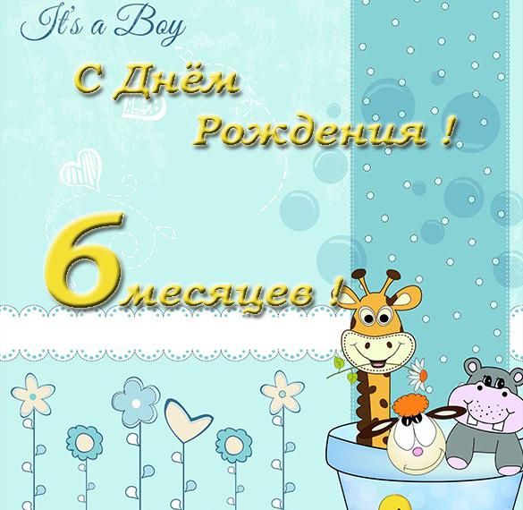 Скачать бесплатно Красивая поздравительная открытка на 6 месяцев мальчику на сайте WishesCards.ru
